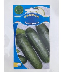 Szenzáció uborka vetőmag, 2g Szenzáció uborka vetőmag, 2g