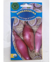 ROSSA LUNGA DI FIRENZE sonkahagyma vetőmag, 1,5g ROSSA LUNGA DI FIRENZE sonkahagyma vetőmag, 1,5g