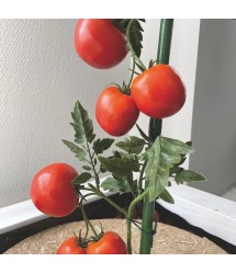 Műanyag bevonatos karó, bambusz, 1,2m