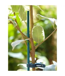 Virágtámasz 60 cm bambusz (25 db/csom.)