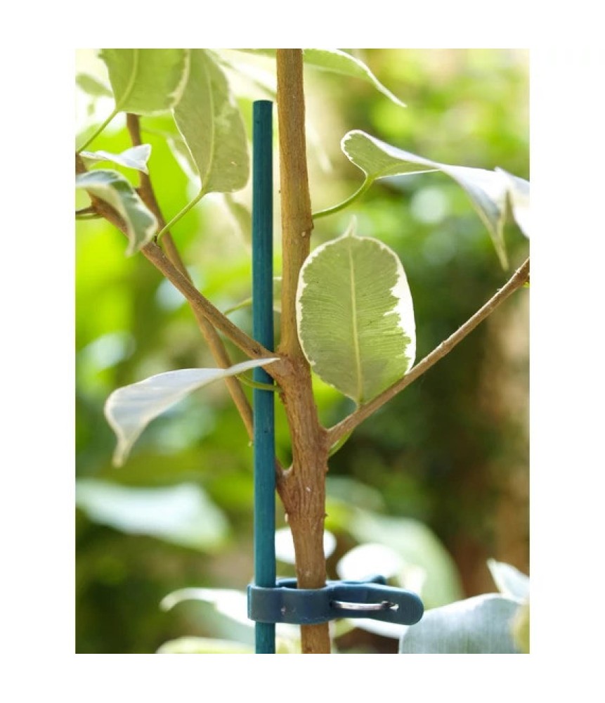 Virágtámasz 60 cm bambusz (25 db/csom.) Virágtámasz 60 cm bambusz (25 db/csom.)